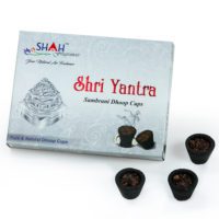 Shree Yantra CUP WB 1000-1000 2