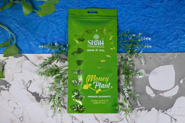 Money Plant - Zipper Agarbatti (110 Grams)