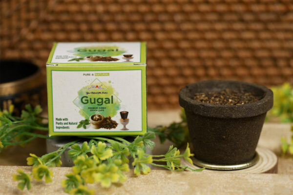 Gugal Jumbo - Sambrani Cup Dhoop